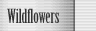 Wildflowers
