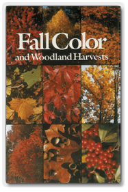 Fall Color Trees and Woodland Harvest