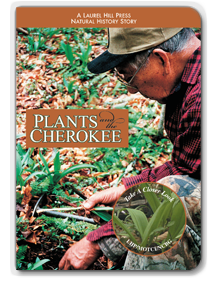 Plant and the Cherokee